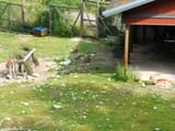 IMG_20250722_142001