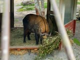 IMG_20250722_143045
