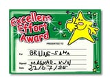Mademoreffortaward