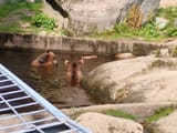 IMG_20250722_154752