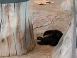 IMG_20250722_160841