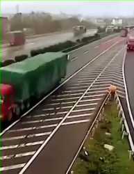 1709562521445_thumb.jpg