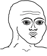 argentina wojak