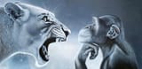 is-screaming-lion-vs-monkey-with-hand-even-close-v0-uplp3i6m5uae1