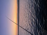 IMG_0601