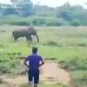 Jeet getting wrecked by an elephant_thumb.jpg