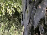 IMG_3051