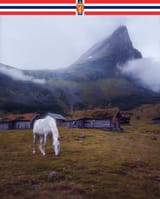 hest