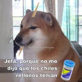 FB_IMG_1752990835568