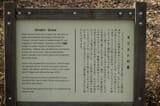 Jesus In Japan