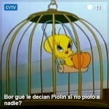 Piolin