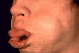 1753231055894899.gif