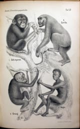 1622904509712