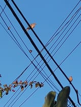 20250722_190312