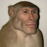 20250717_222334