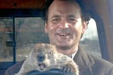 Groundhog-Day