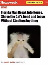 QqOout8cCBKoQ8ed