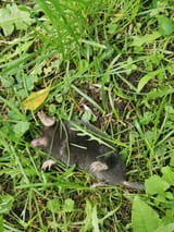 IMG_20250516_154723