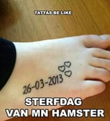 284e8c63d0aa47a1b10ec75da4570ac9--google-search-2548203915-1