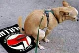 sogardiehundescheißenaufeuch
