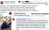 advertisement-pet-owners-of-coppell
