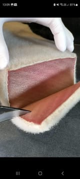 mold-aged-fish-v0-83kdn6uz4uqe1