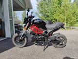Dynamic Monster 50cc moped