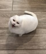 G9DIwUv