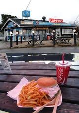 lappens_ps-scaled-down