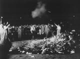 book-burning-place-Berlin-Germany-power-Nazis-1933-2725882874