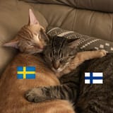Thread 213067855 OP Image