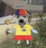 GwijwgSWQAAZwLZ