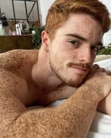 gustavoCorrea-gvstvo17-cow-Vacavaquita-ginger