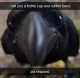 1731999584312207