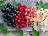 vinbar-1024x768