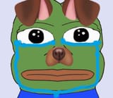 Thread 213072514 OP Image