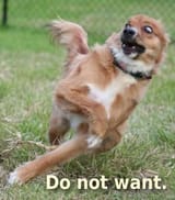 do-not-want