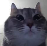 1679476572507840