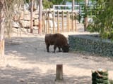 IMG_20250724_023129