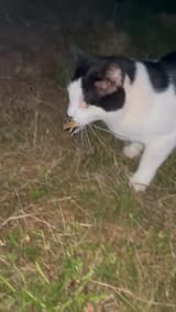VideoCapture_20250723-215638