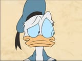 donald duck is concerned