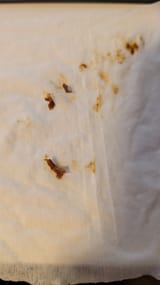 PXL_20250724_075844101