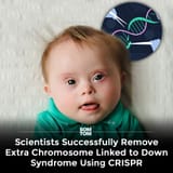 1729560204889085