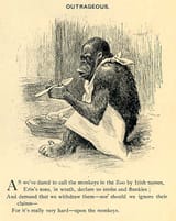 race-white-irish-discriminatory-cartoon-1