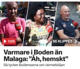bodensare