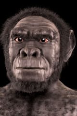 Screenshot 2025-07-24 at 17-06-45 homo-habilis-reconstruction.jpg (JPEG Image 300 × 450 pixels)