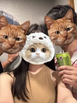GwoR7eMbQAEIiMv.jfif