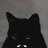 1722754780588209