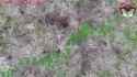 0c179eea5e603423_thumb.jpg