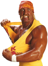 Hulk_Hogan_2
